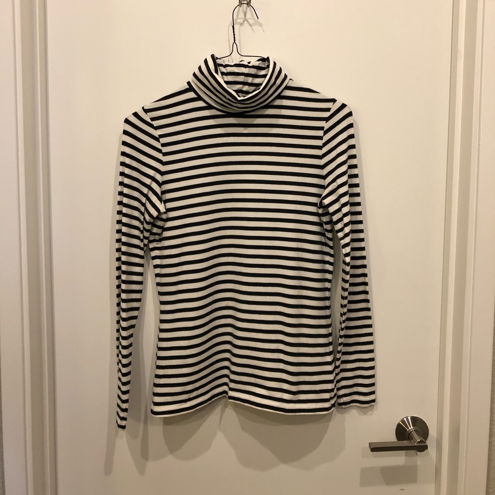 Lands End striped turtleneck